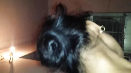 Teef geduwd door twee pikken of seks met twee sexfilmpjes jongens